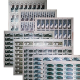 T53桂林山水大版票