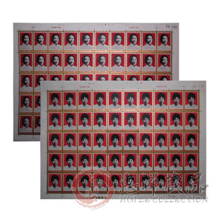 J27中国妇女的光辉榜样整版票